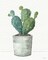 Mixed Greens XLI Poster Print by Lisa Audit - Item # VARPDX36517